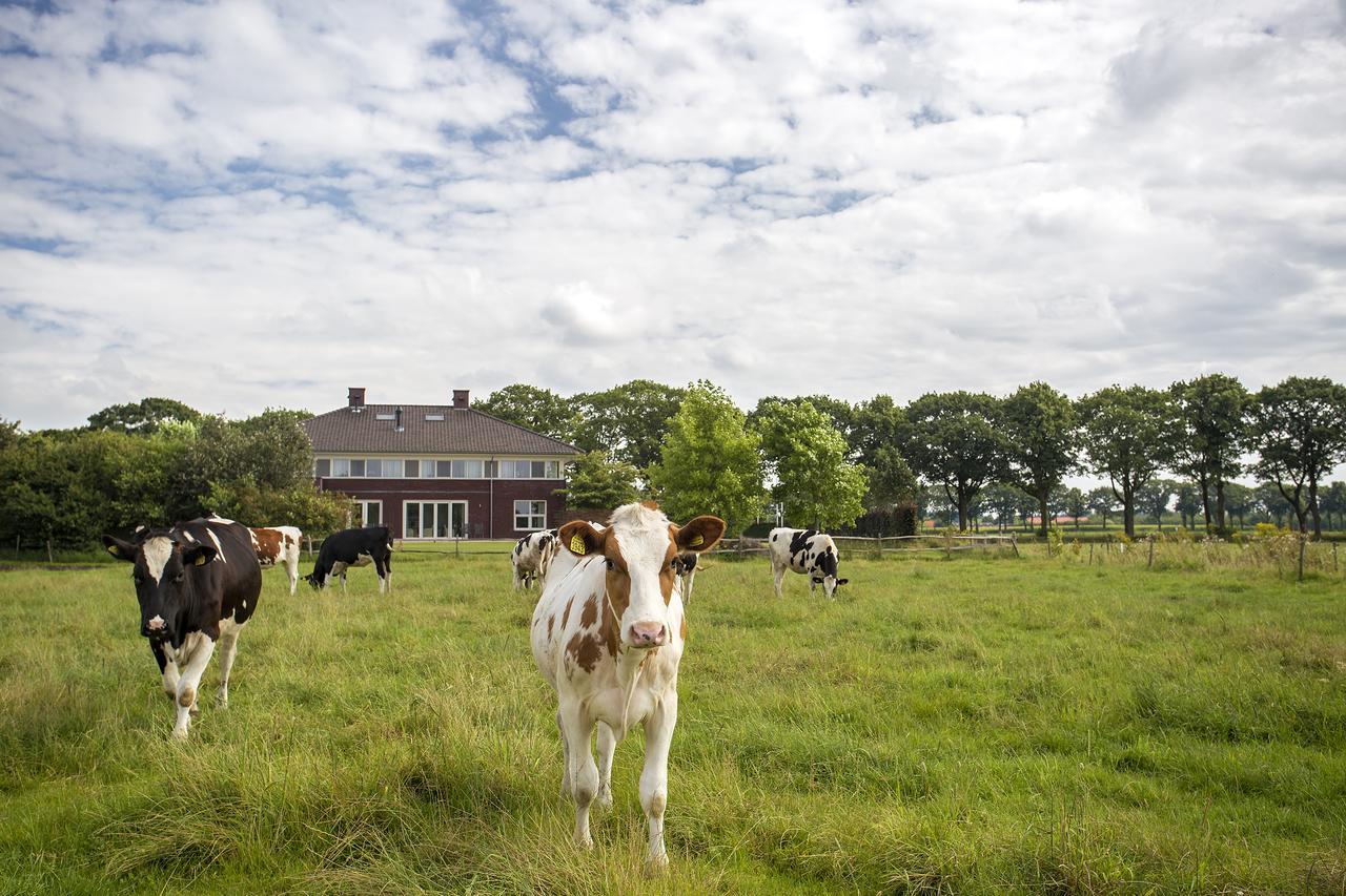 Villa het Bascour Holthees Exteriör bild