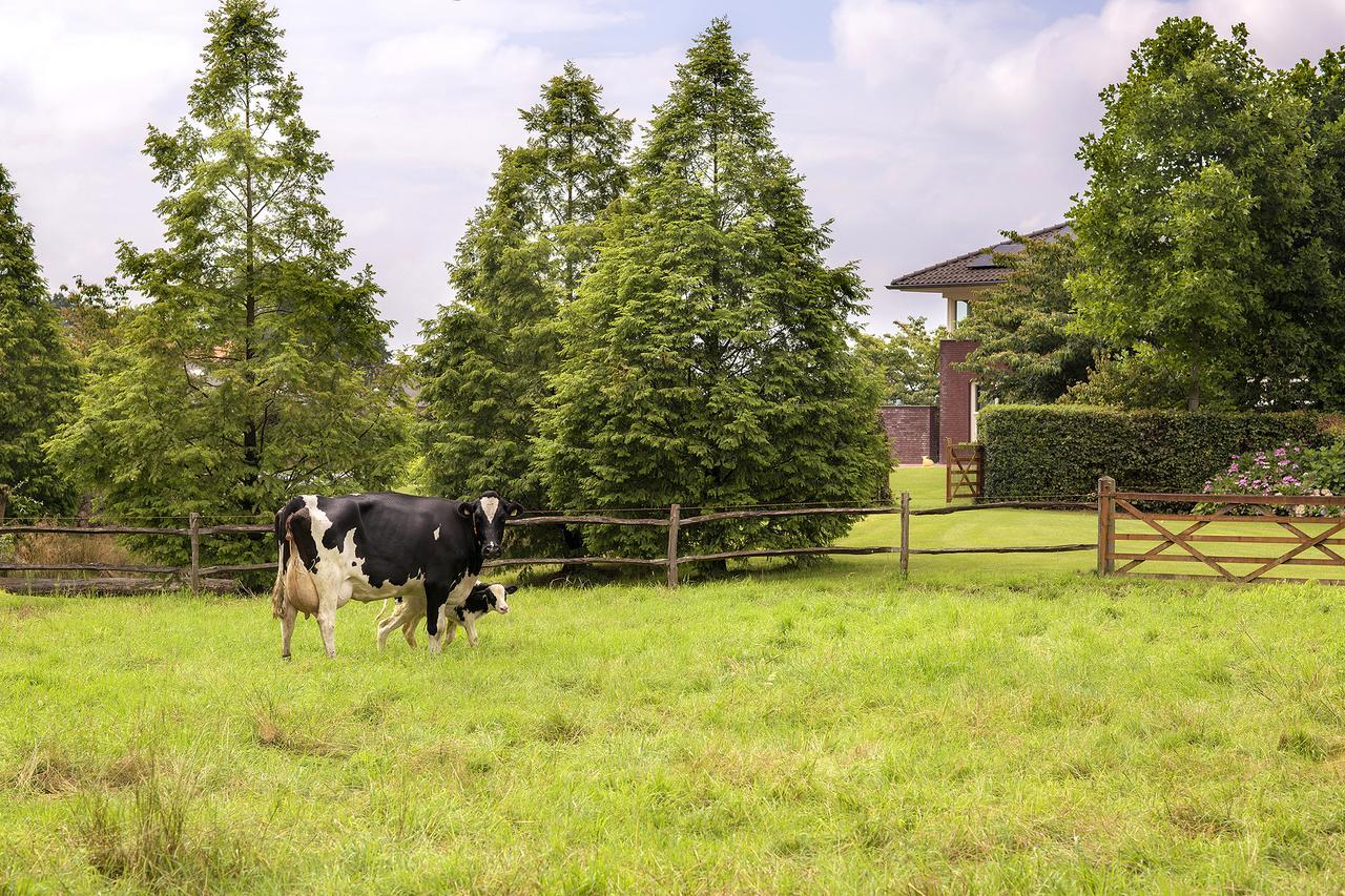 Villa het Bascour Holthees Exteriör bild